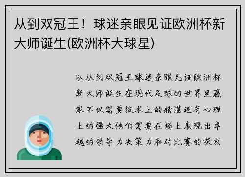 从到双冠王！球迷亲眼见证欧洲杯新大师诞生(欧洲杯大球星)