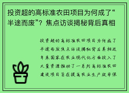 投资超的高标准农田项目为何成了“半途而废”？焦点访谈揭秘背后真相