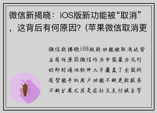 微信新揭晓：iOS版新功能被“取消”，这背后有何原因？(苹果微信取消更新)