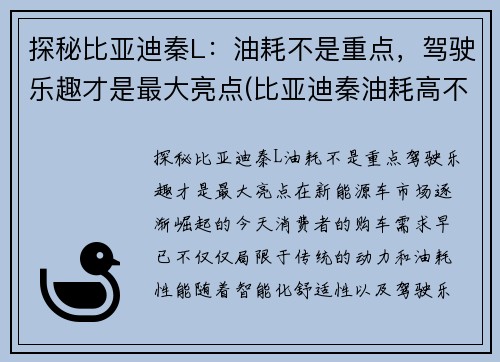 探秘比亚迪秦L：油耗不是重点，驾驶乐趣才是最大亮点(比亚迪秦油耗高不高)