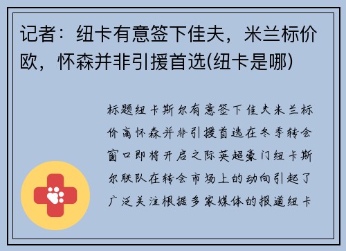 记者：纽卡有意签下佳夫，米兰标价欧，怀森并非引援首选(纽卡是哪)