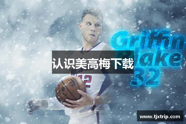 认识美高梅下载